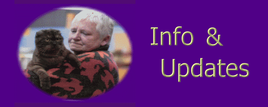 UPDATES